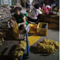 China fresh potato factory supply, natural yellow potato export 2021